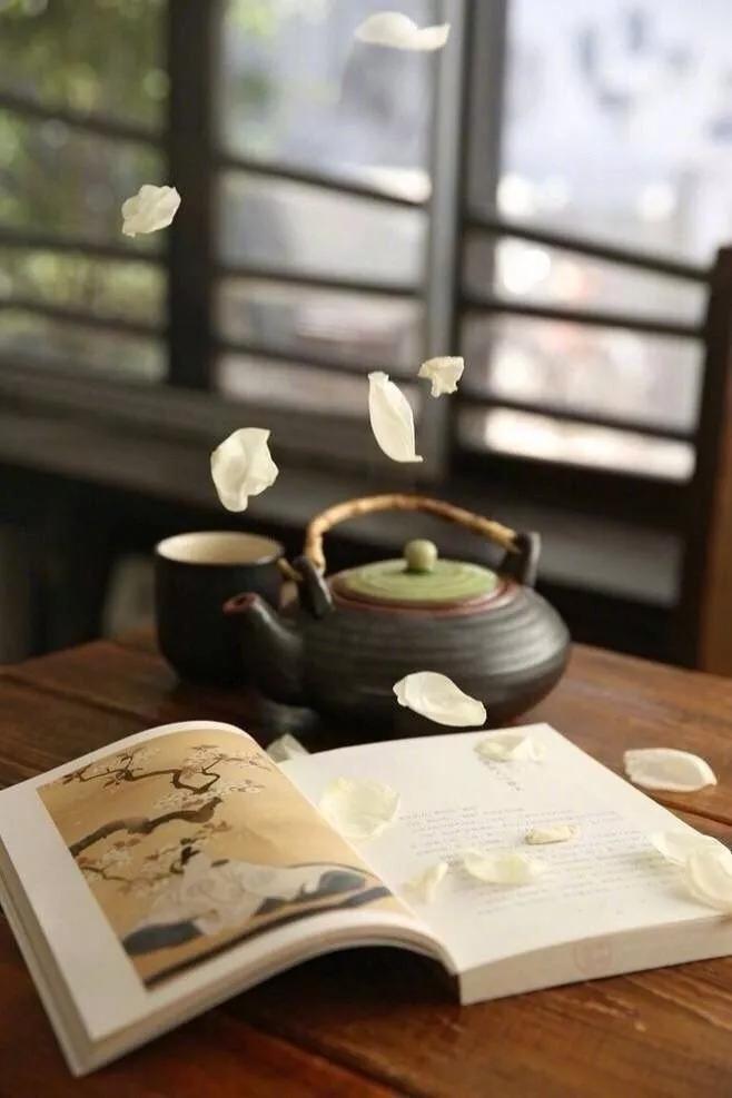 心静，是一个人最顶级的修行。人这一生，忙忙碌碌，追名逐利，总在向外求索，却