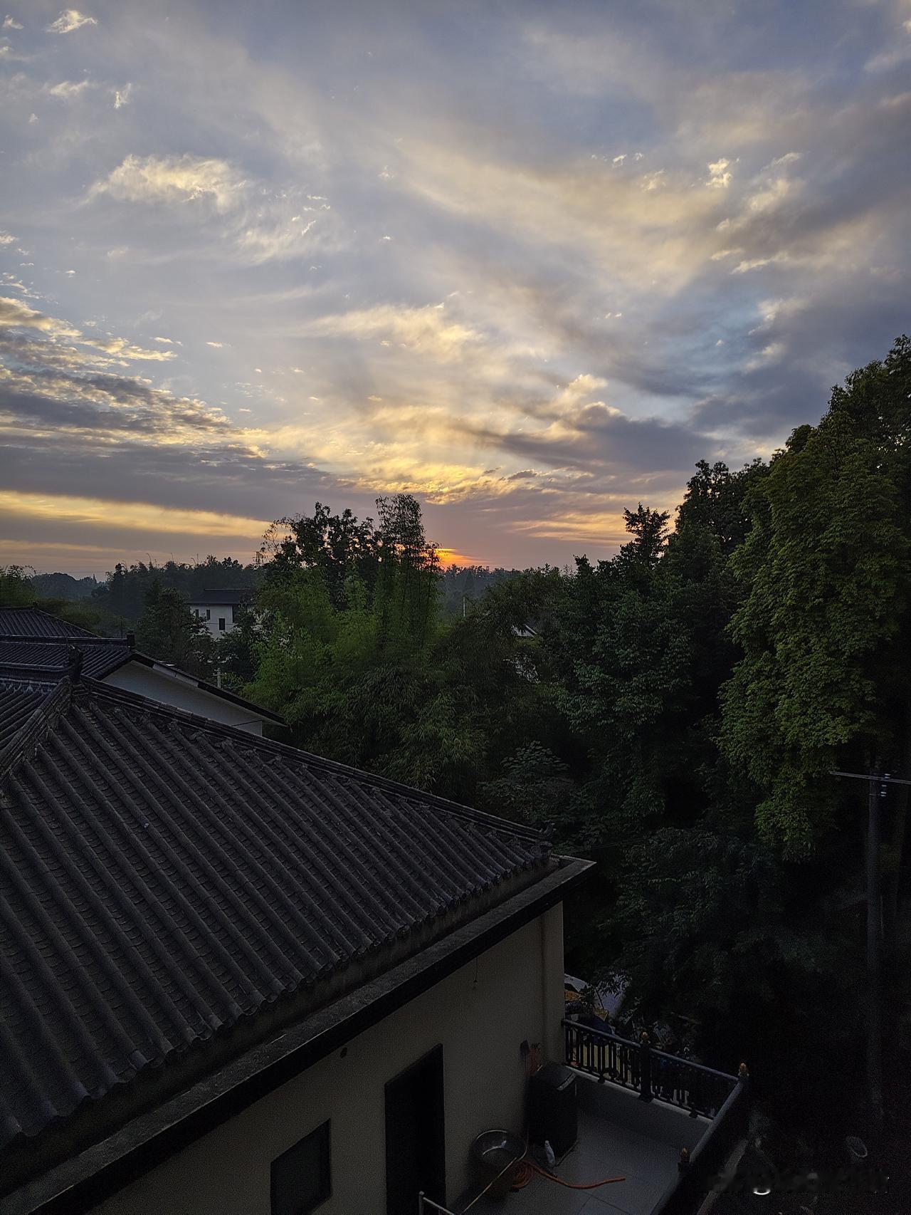 鸟儿的啼鸣将我从梦乡中唤醒。清晨六点多，我被小鸟欢快的叫声闹醒。以我的经验判断