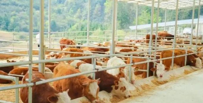 美国着急，中国出手了！这一下，可是打到了关键地方。咱们国家决定，对从巴西、澳大利