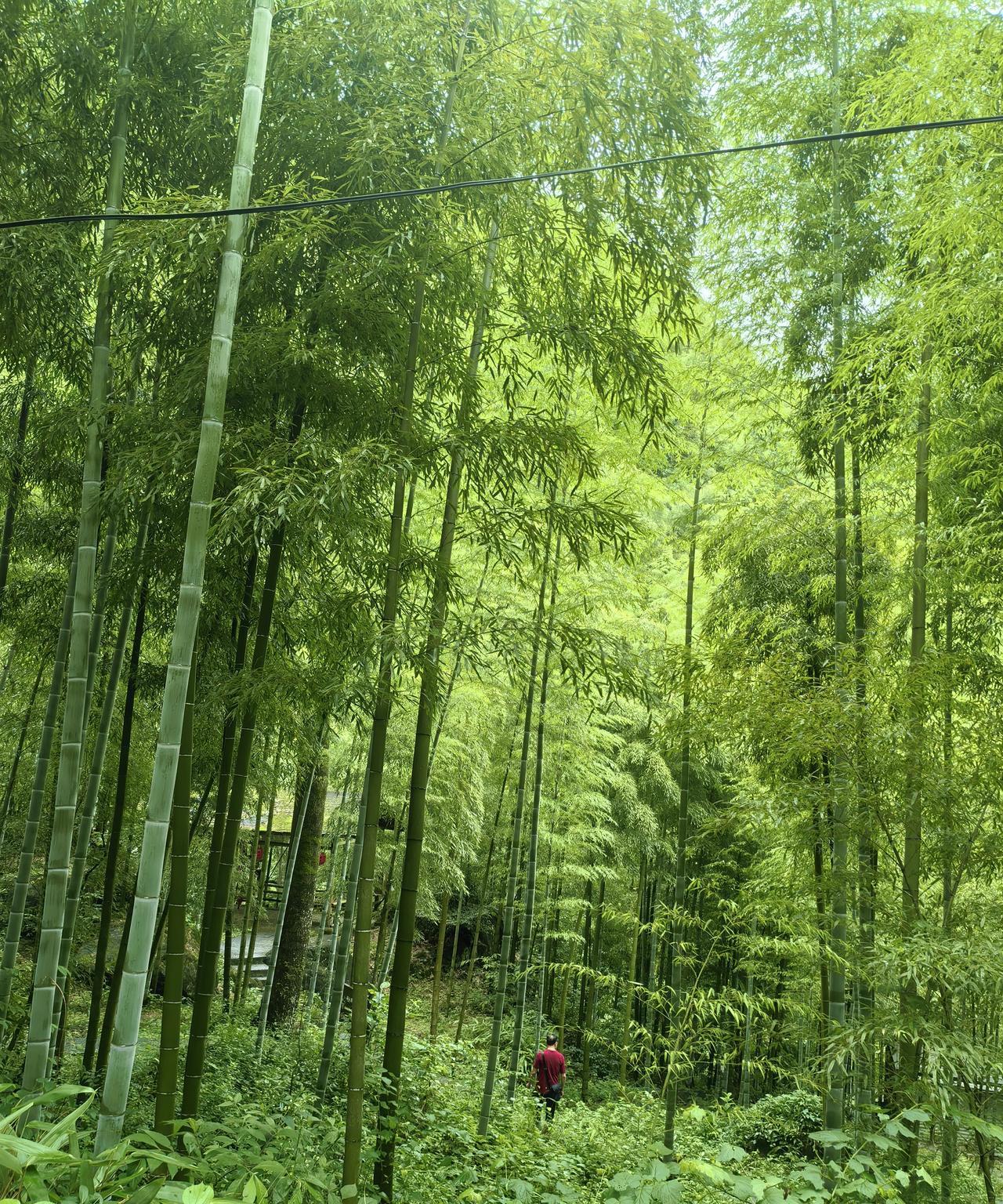 #可以分享一些乡村自然美景的图片吗#山沟沟自然景色