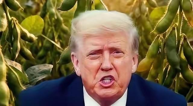 万一阿根廷，美国，巴西三国大豆全部涨价，中国怎么办？三路豆子一起喊涨，咱们饭