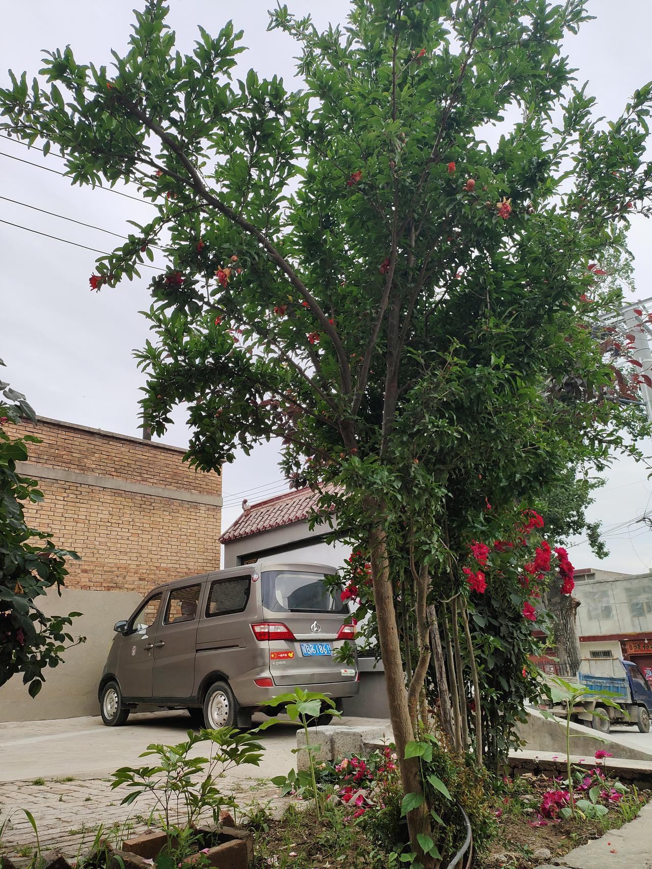 一个人沉淀，一个人成长，安静度日，自在随心人活到一定年纪就会慢慢明白，真正