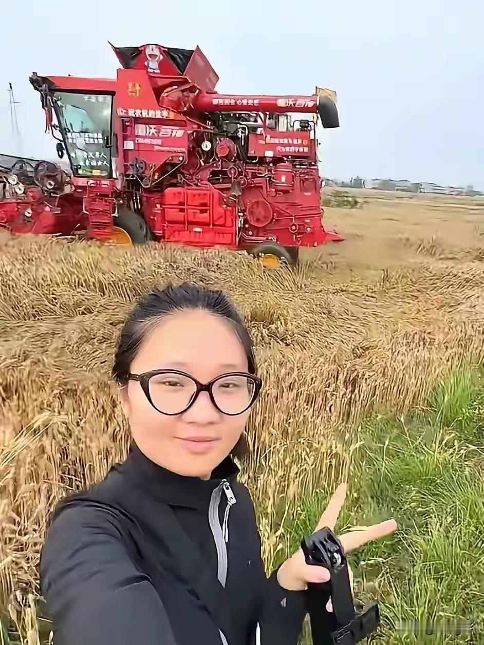 全网爆火“割四赔五”：一个民间新词，照见人心最深处的利弊万千正统成语沉寂书