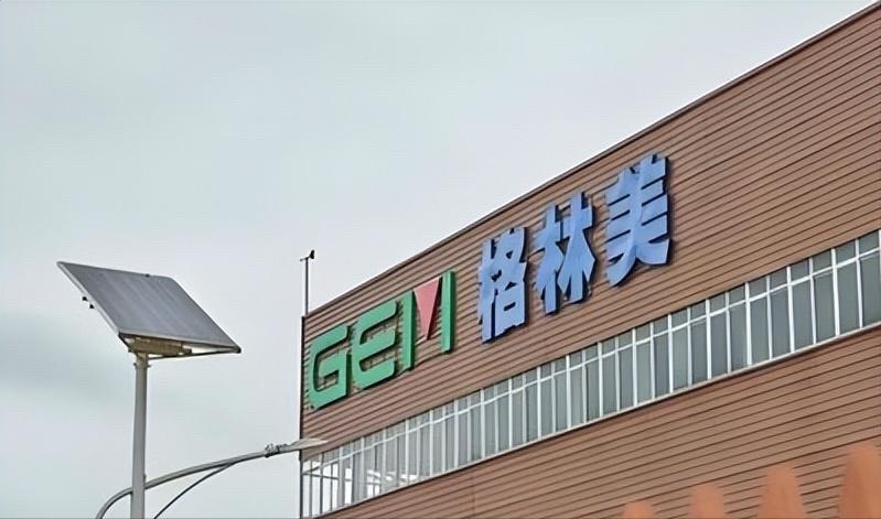 “这下真慌了！印尼坐拥全球顶级的镍矿资源，原本指望着靠矿石发财。谁知6月7日，中