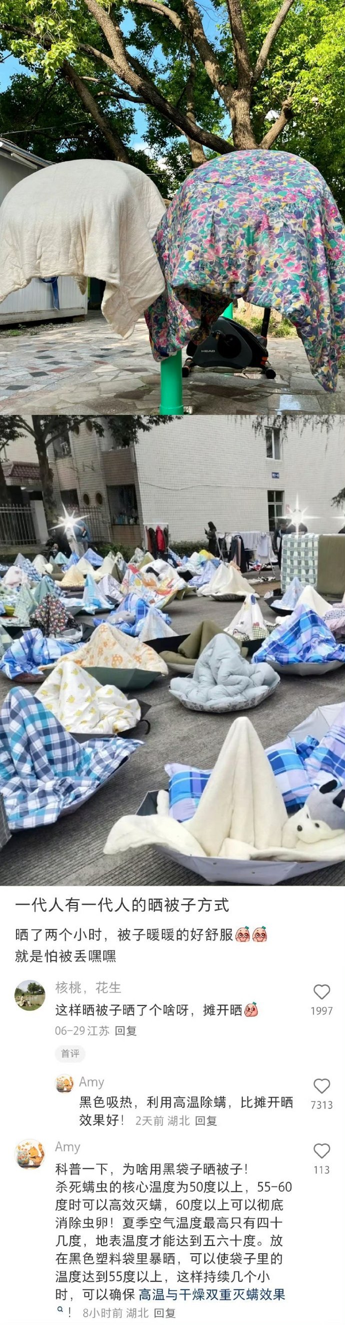 我真的很需要这么有生活智慧的网友！！！