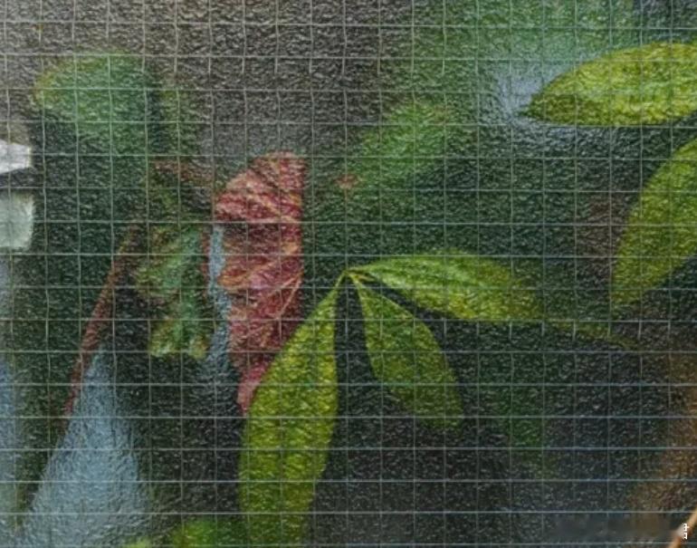 【真正的改变源于内心的驱动力】人内在的驱动力才是激励我们行动力量的主要来源，依靠