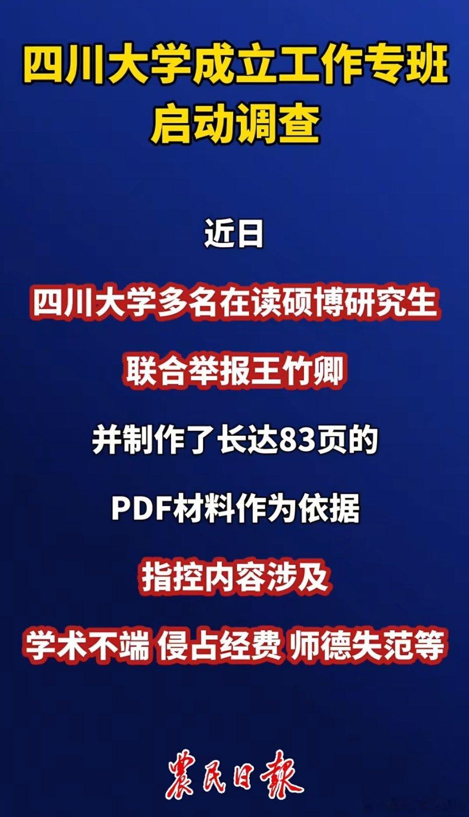 四川大学🔻学生83页材料我全看完了，这份材料指控王某某疑似存在学术不端问题。据