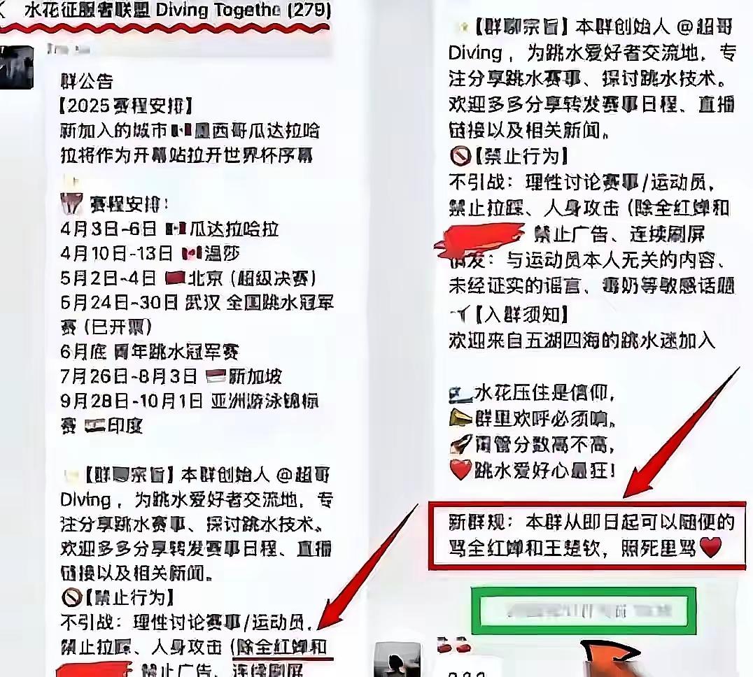 最新群聊截图曝光！那个存在4年之久、成员多达282人的“水花征服者联盟”群，竟