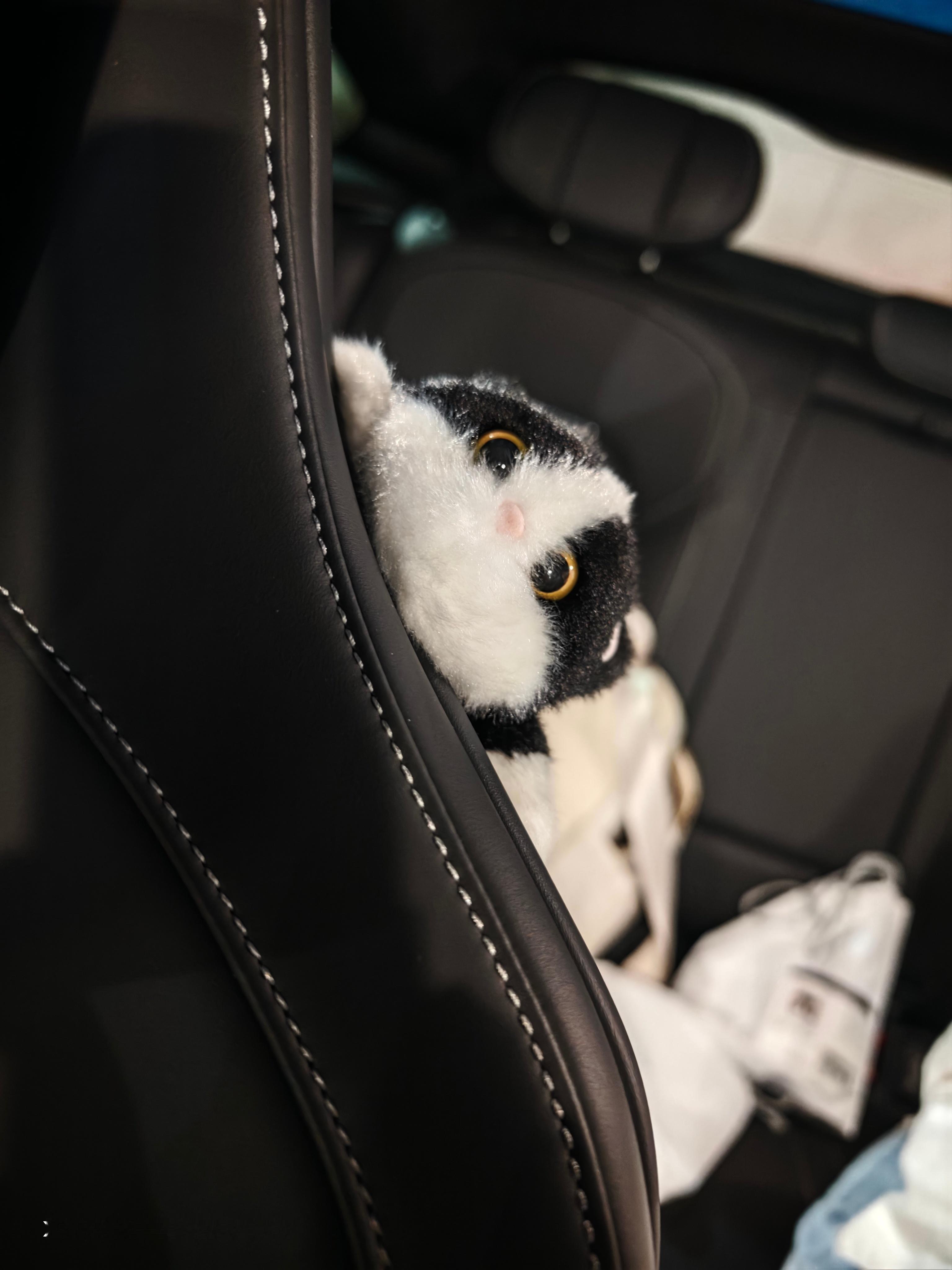 李老师很兴奋的把我拉来车库，结果是展示她的小米su7萌宠，唉女人是不是都喜欢这些