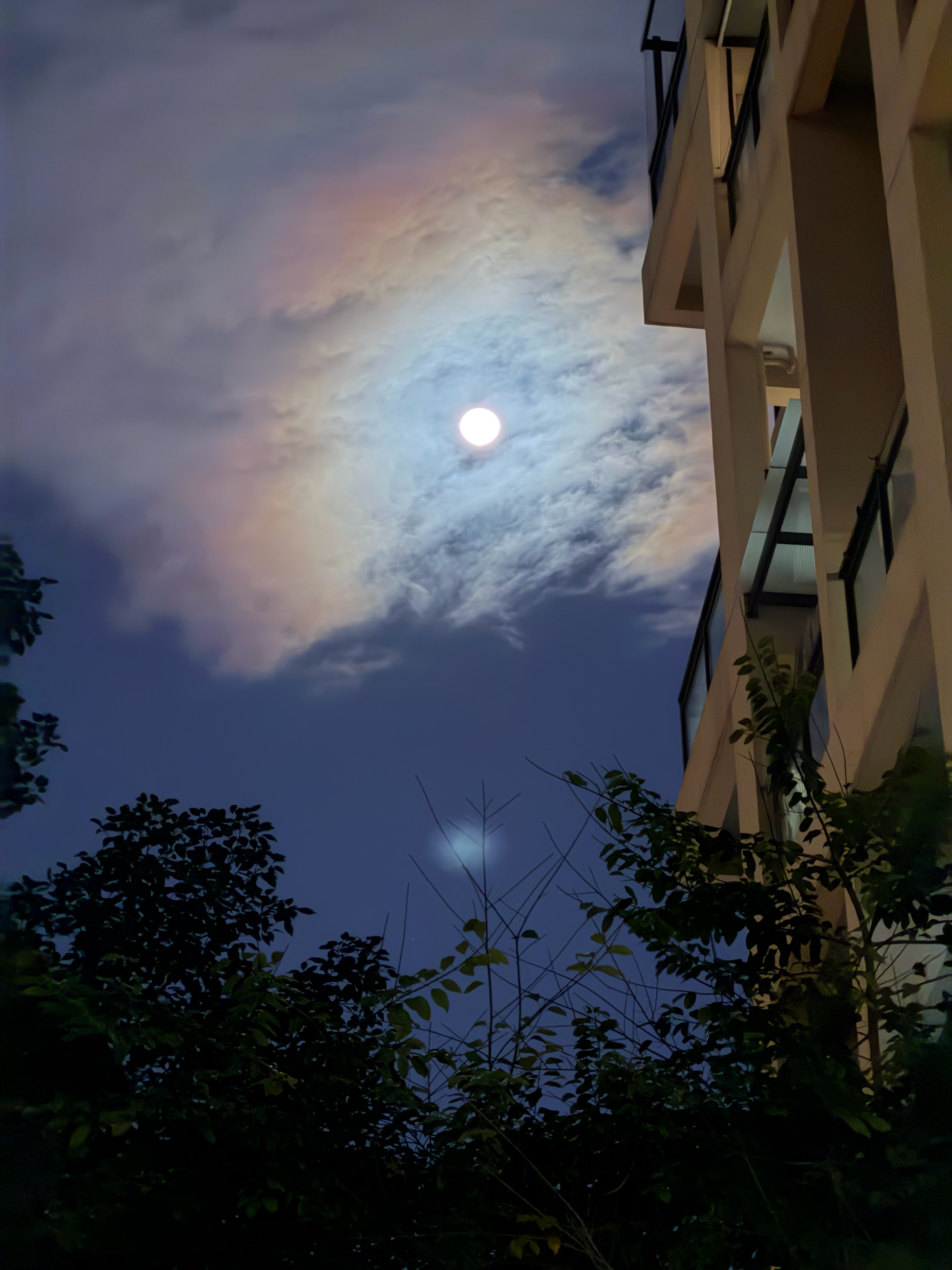 拍照对比，图1华为Mate80ProMax图2iPhone17