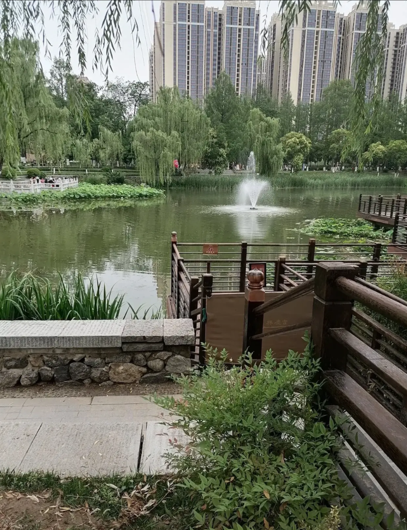 一个985的教授说了一个扎心的事实，去年人工智能专业毕业生，百分之八十找不到工作