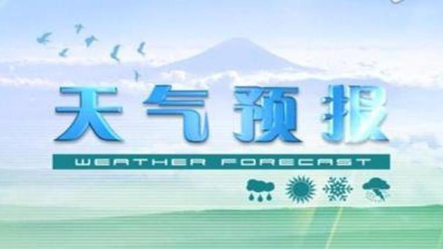 9262732113292621974.jpg?id=0