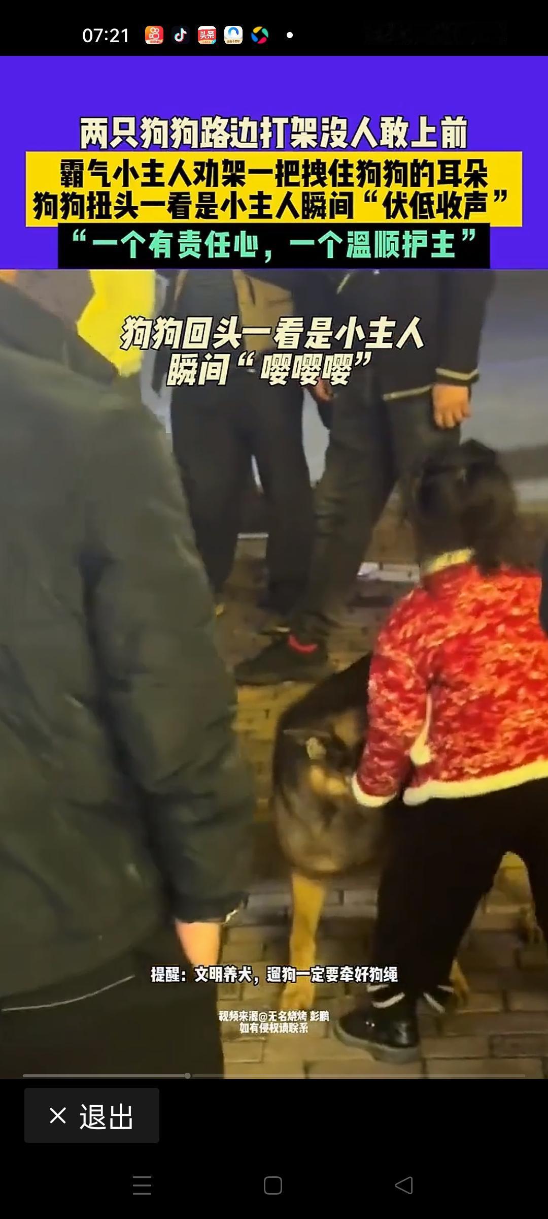 在繁忙的街角，小巷子里突然传来一阵激烈的吠叫声，紧接着，两只狗狗在路边拼命地撕咬