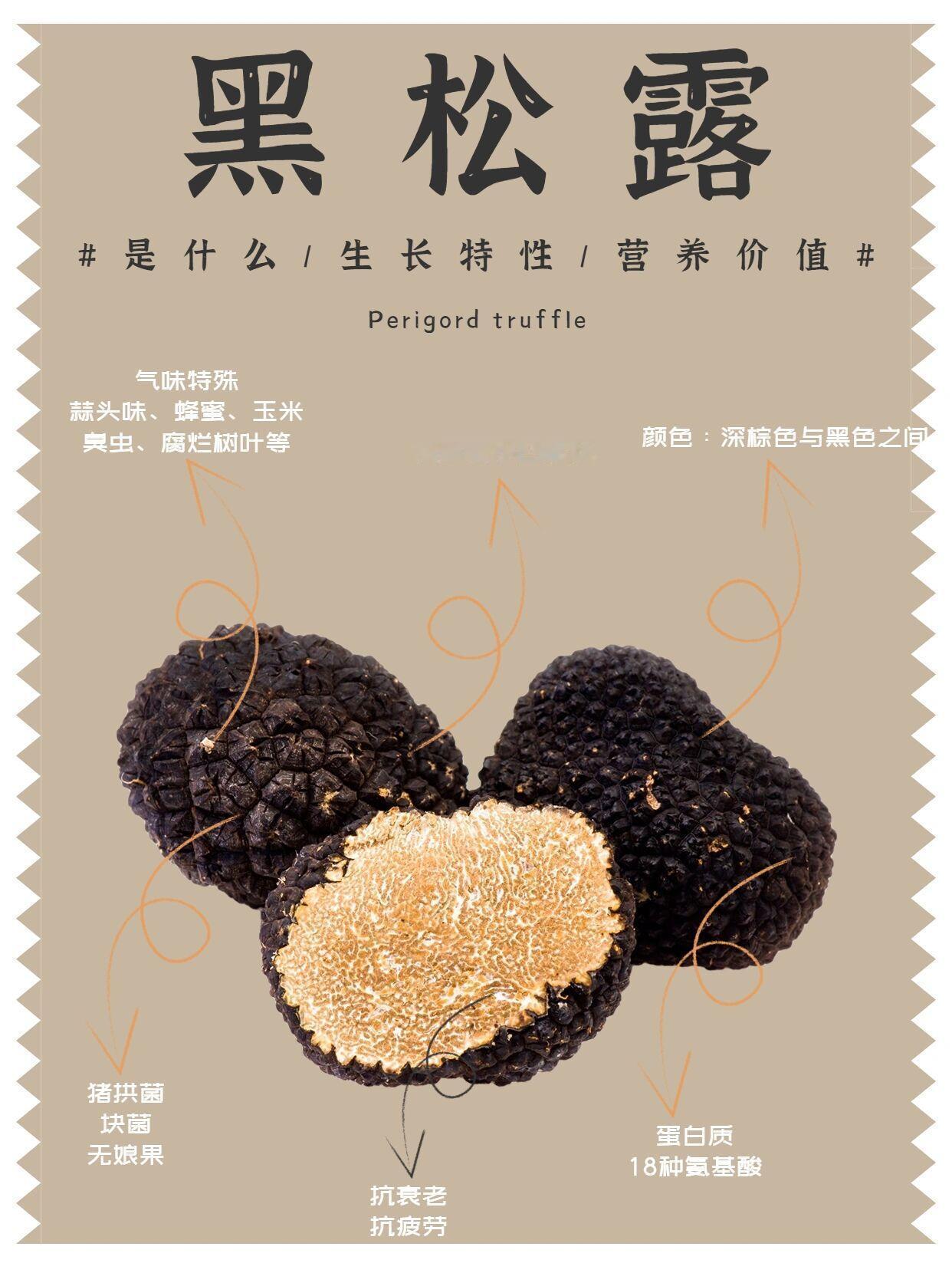 黑松露到底是个什么东西❓京东拍卖巴掌大野生黑松露​​​