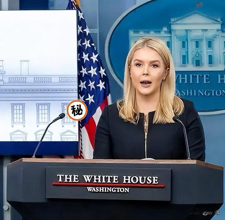 美国急着卖芯片，中国直接摆手说不！白宫AI事务高级顾问戴维·萨克斯向彭博社坦