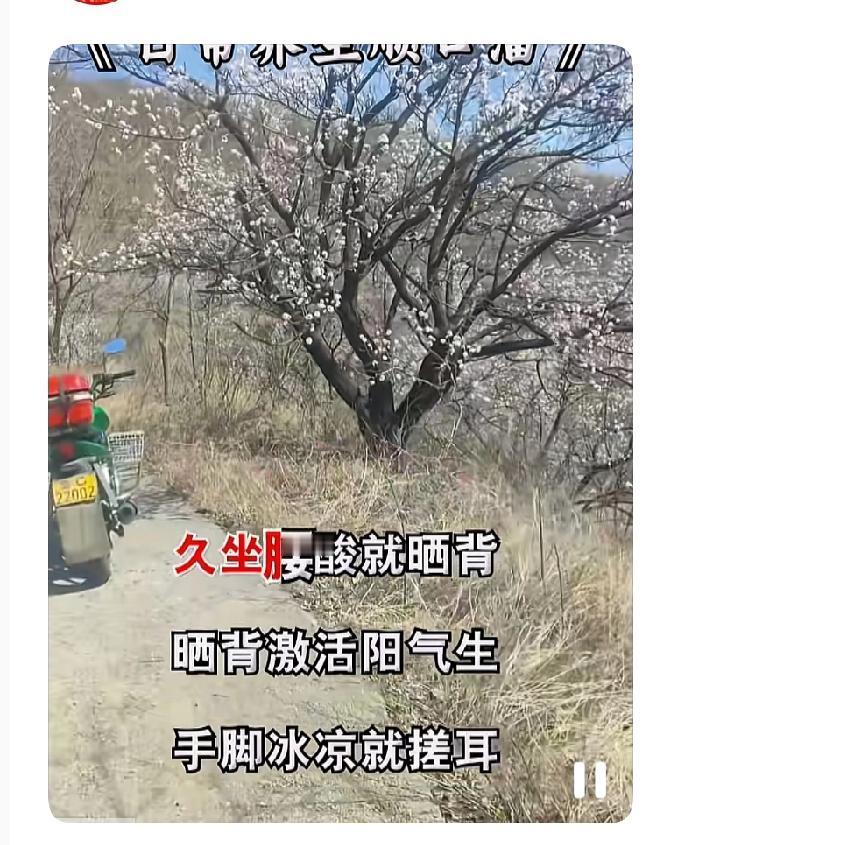 黄帝内经里面说呀，气血淤堵就剁脚，剁脚正通三焦经，久坐腰酸就晒背，背激活阳气生，