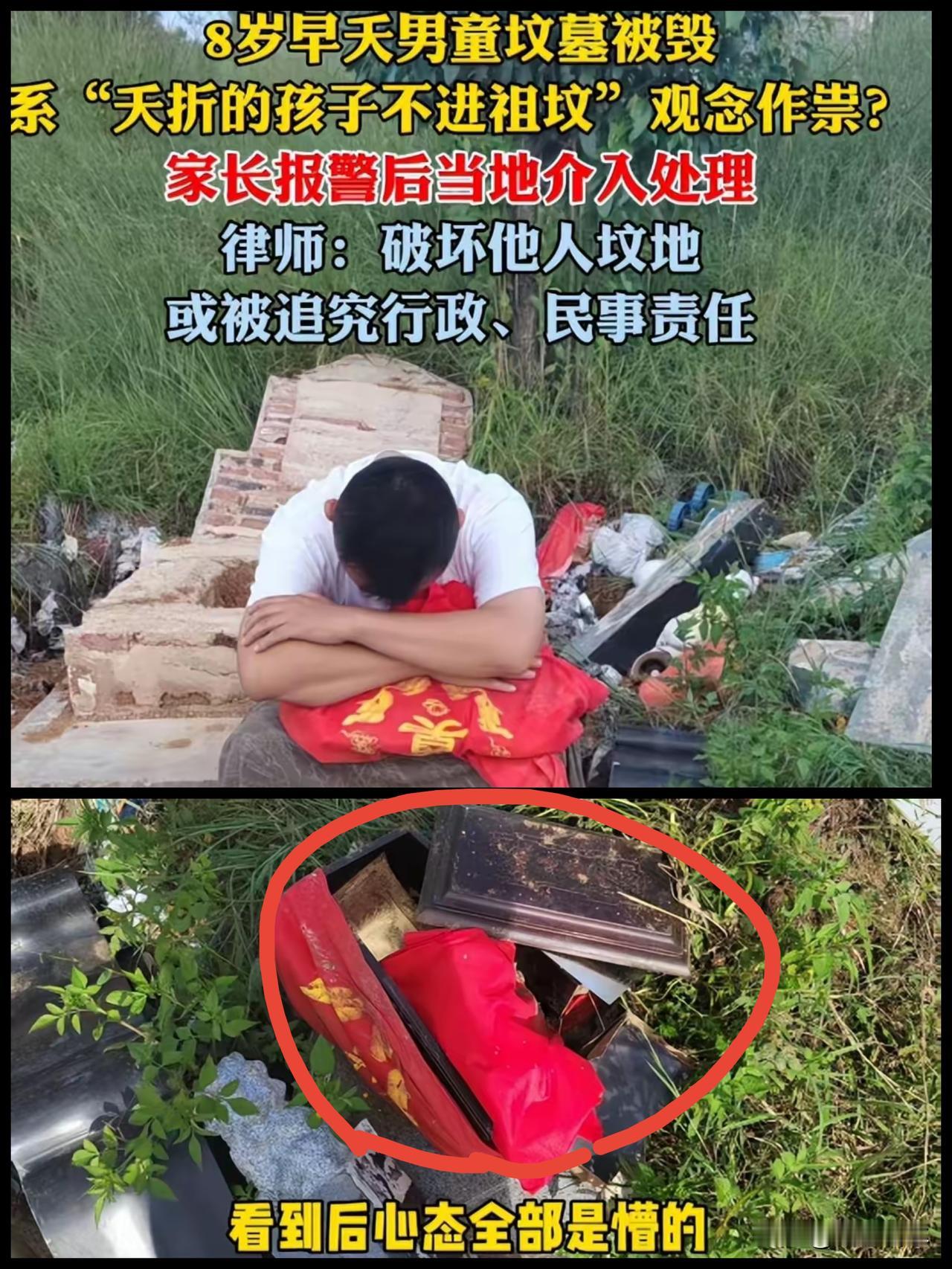 8岁早夭男童坟墓被毁不仅墓碑被推翻骨灰盒还被扔到了野地里,原因仅是葬在了