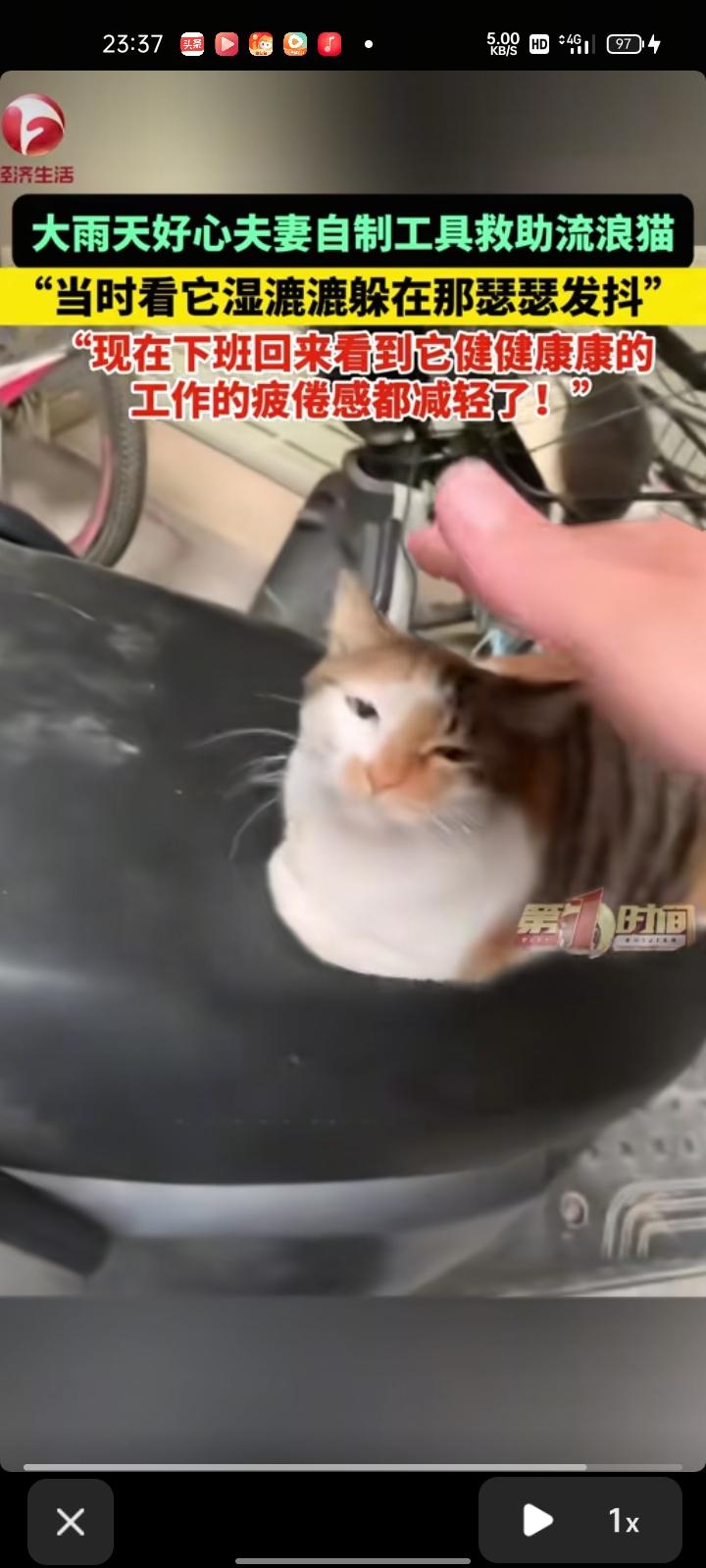 2月28日，广东广州。网友晒视频称，自己带着老公去吃早餐，看到对面楼的天台上有一