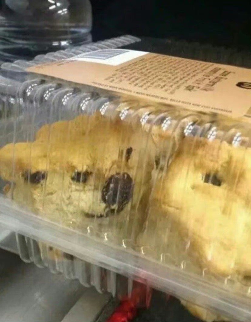 小狗：重生之我变成了一块蛋糕