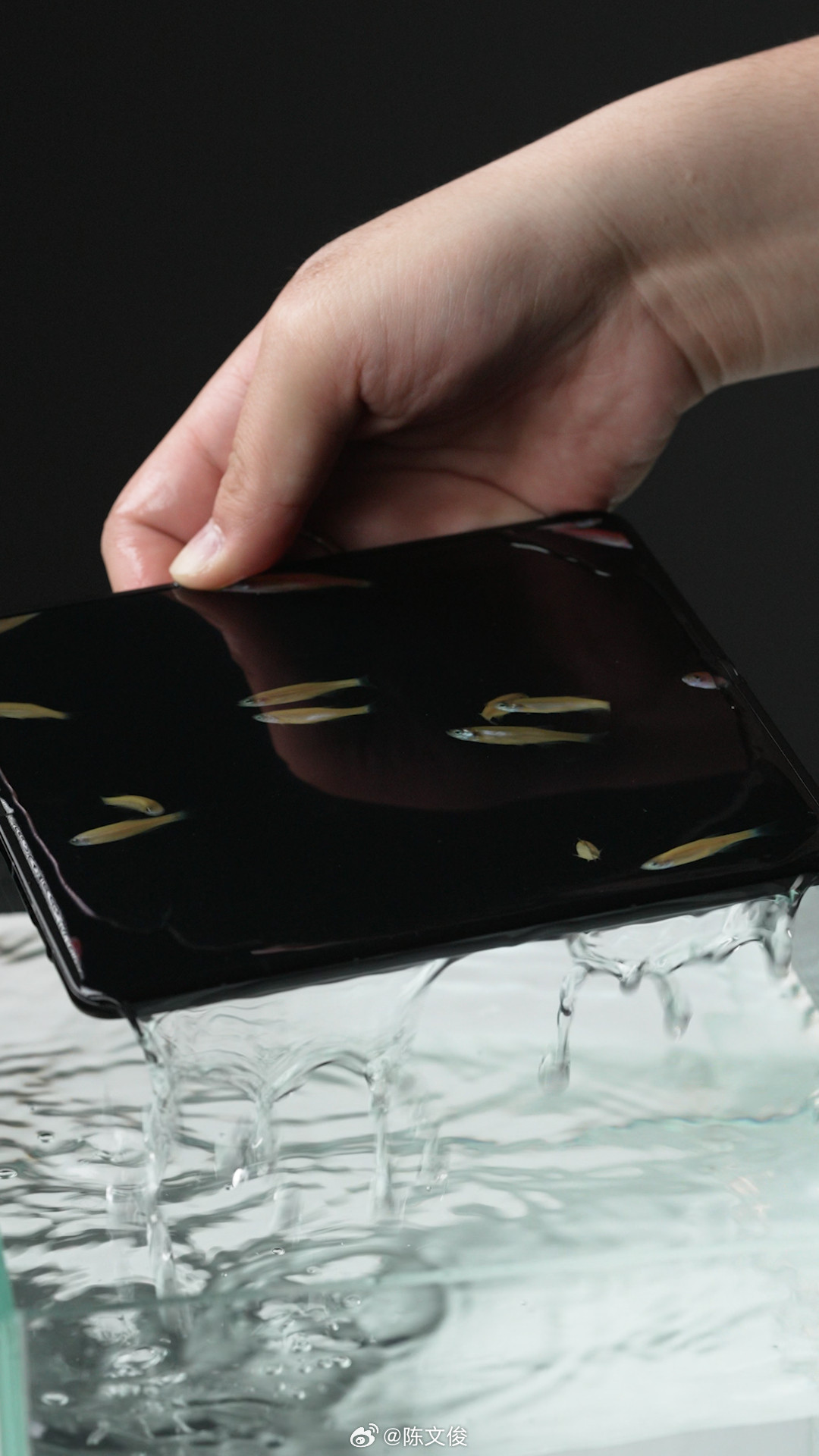 越来越会整活了啊FindN6