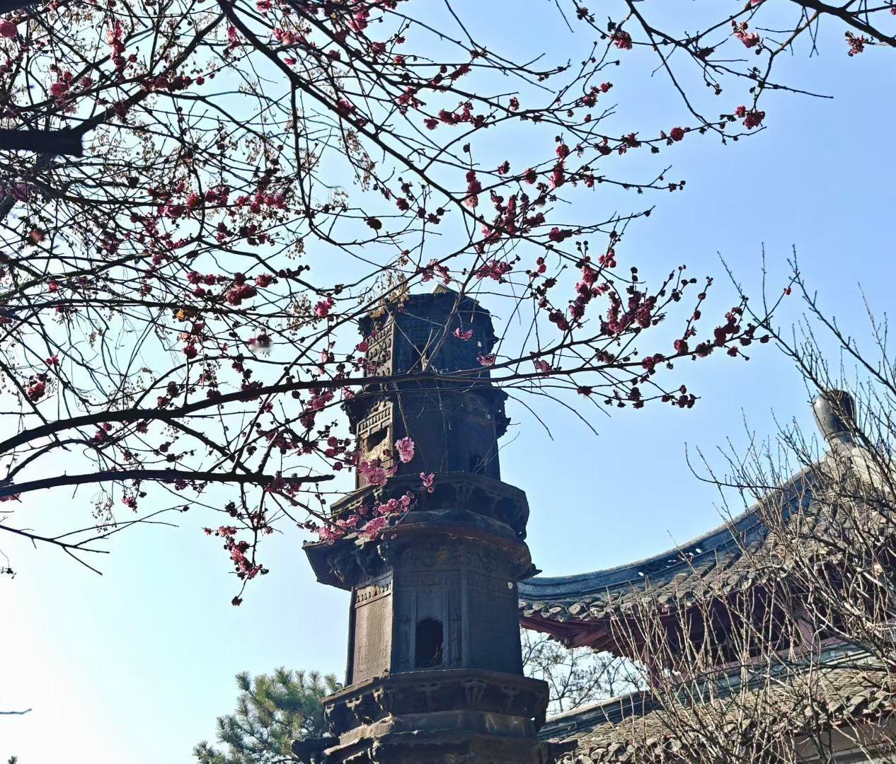 不想、不怕、不求，自在活一生人这一辈子，想要活得舒坦、过得轻松，其实不用太