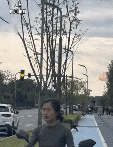 笑不活了，四川成都一女子，带着自己养的两只鹦鹉去户外放飞。结果回家时，女子如何呼