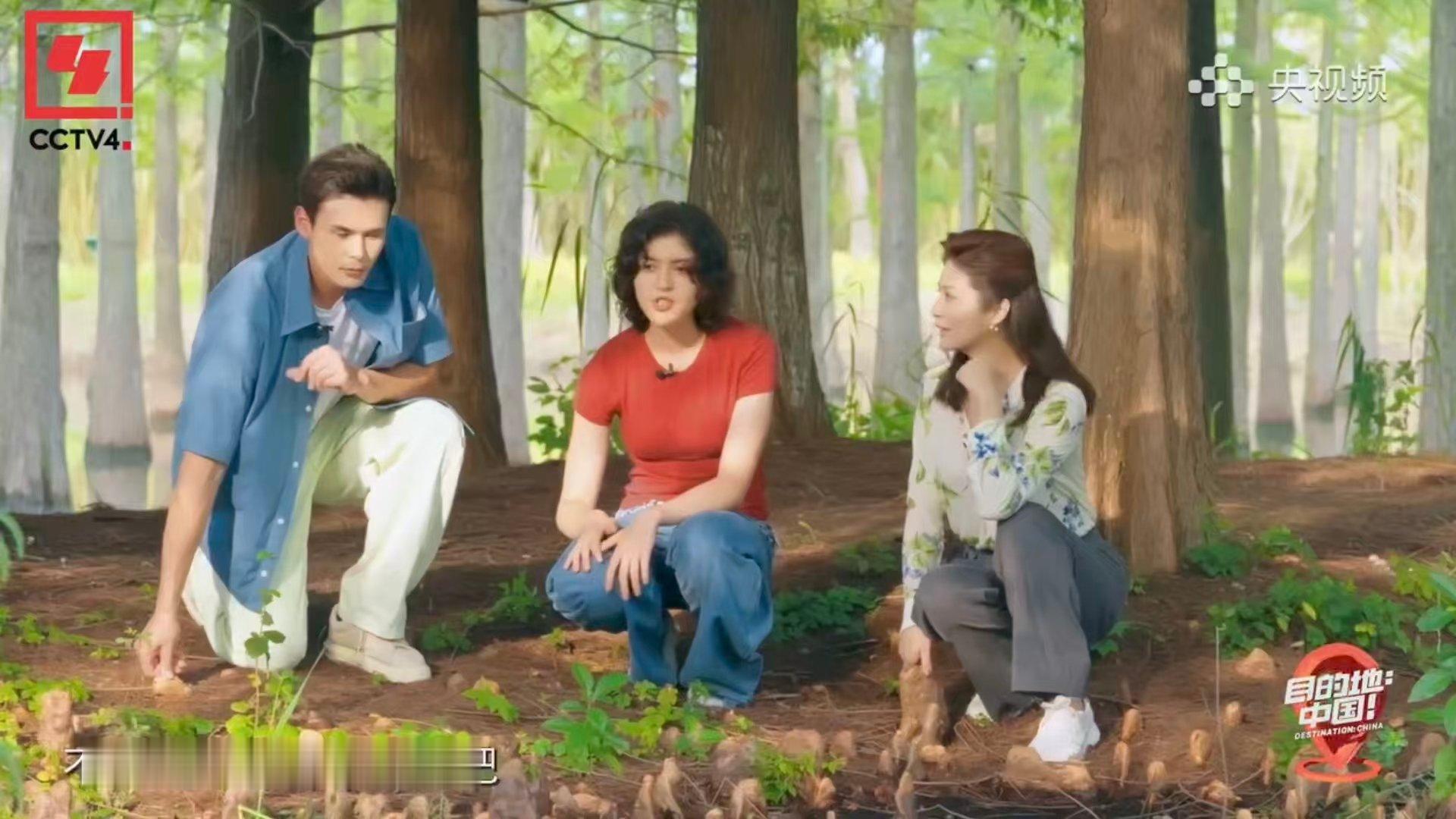 录综艺意外发现存活1亿年的物种综艺镜头成了时光机，带我们看见1亿年前的地球“原