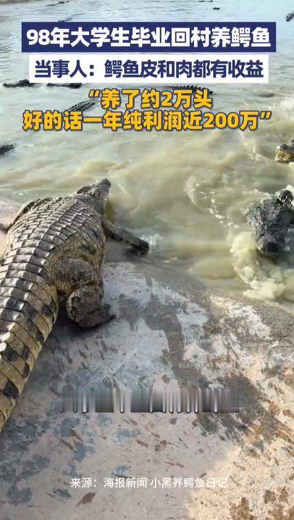 最近刷到件挺有意思的新鲜事，海南东方有个98年的小伙子，大学正儿八经学的工程造价