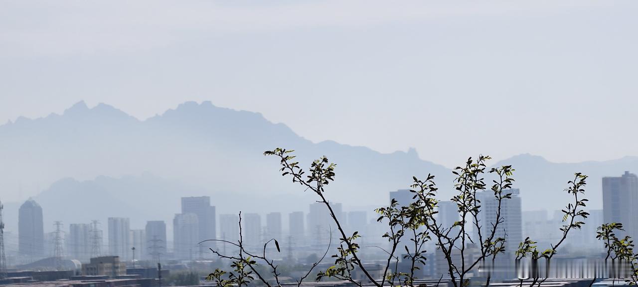 别在那儿当职场“显眼包”了，你以为是展示自我，其实是在自掘坟墓！今天下班在电
