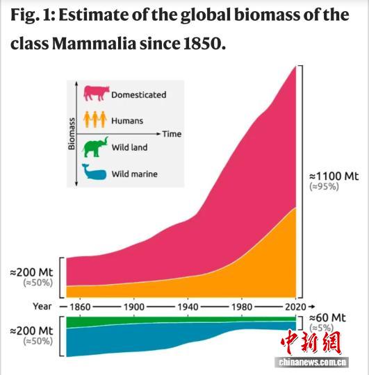 生物量迁移最新研究: 人类超所有陆地动物总和, 野生哺乳动物锐减