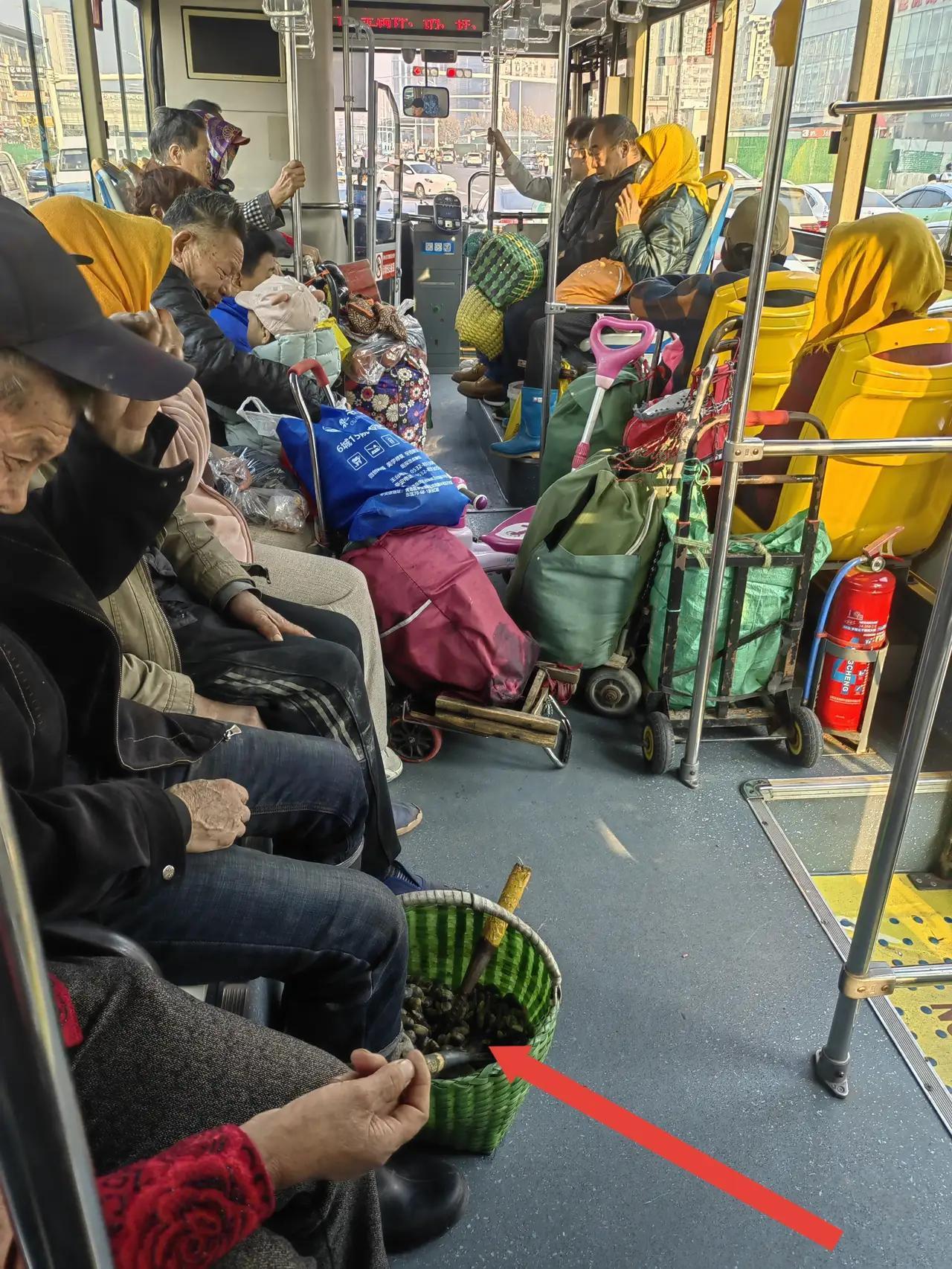 青岛黄岛公交变身海鲜专列！六旬老人凌晨抢滩背后的生存密码让人泪目清晨五点的青