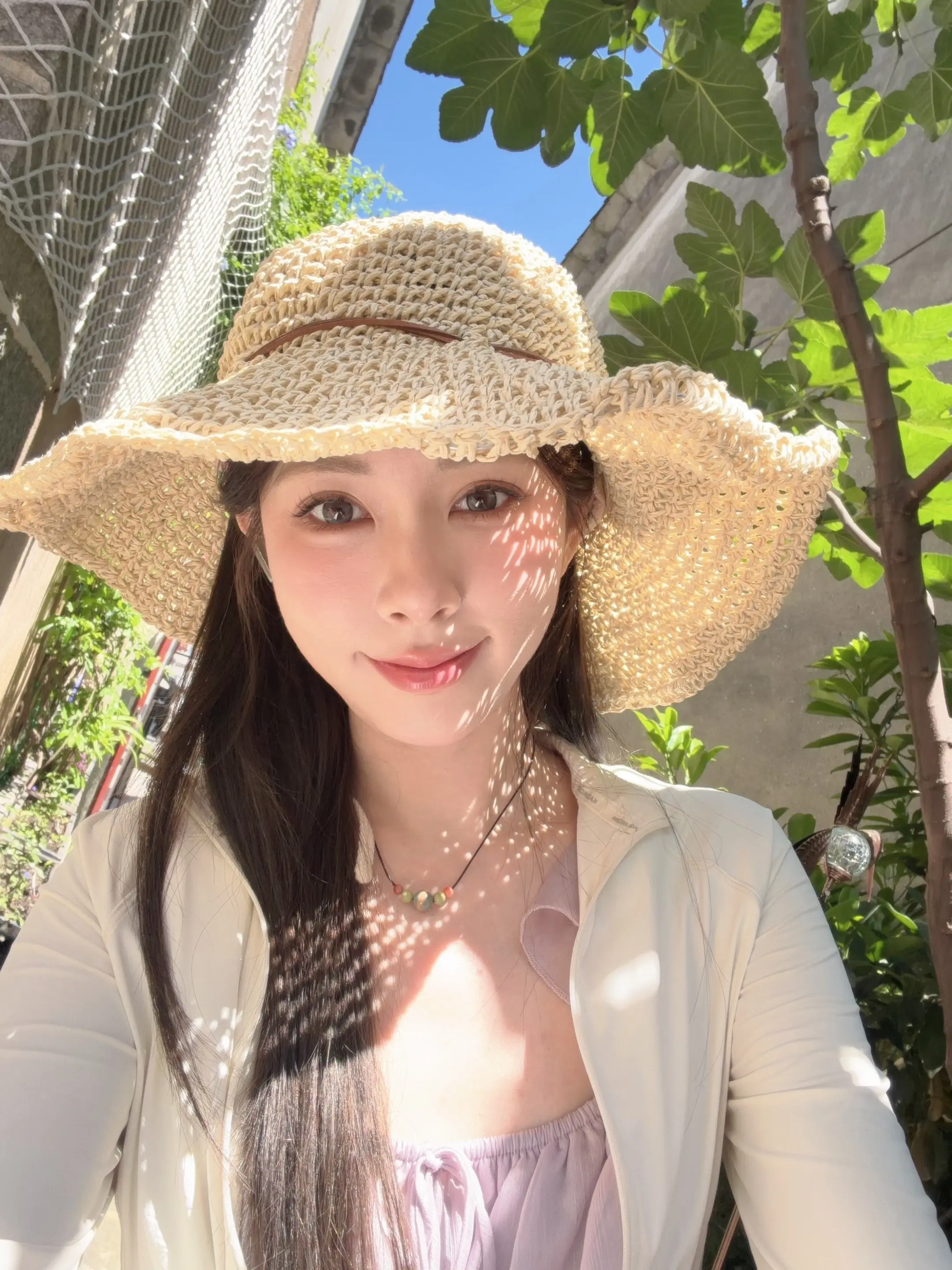 阳光正好。