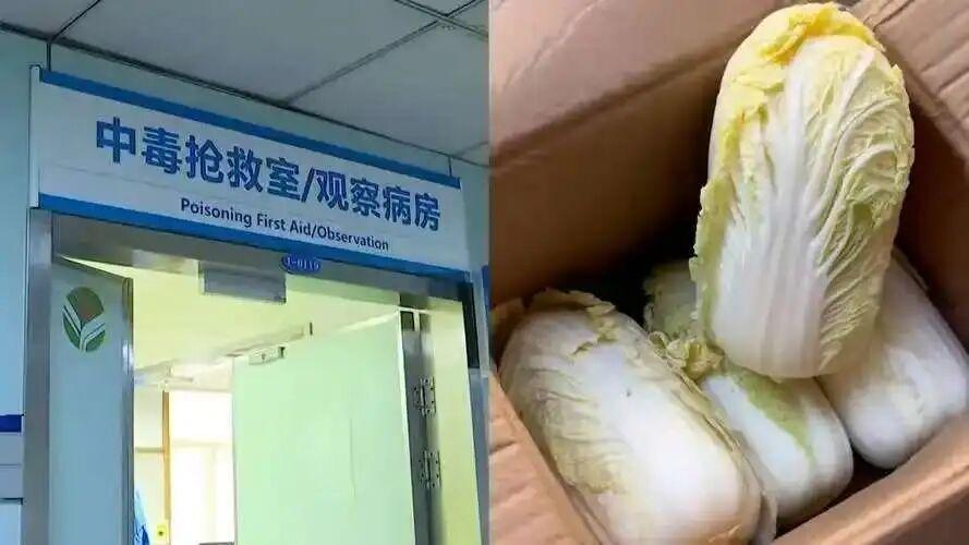 网购娃娃菜竟致夫妻进ICU！毒源不是农药，真相让人心惊家人们谁能想到，买菜