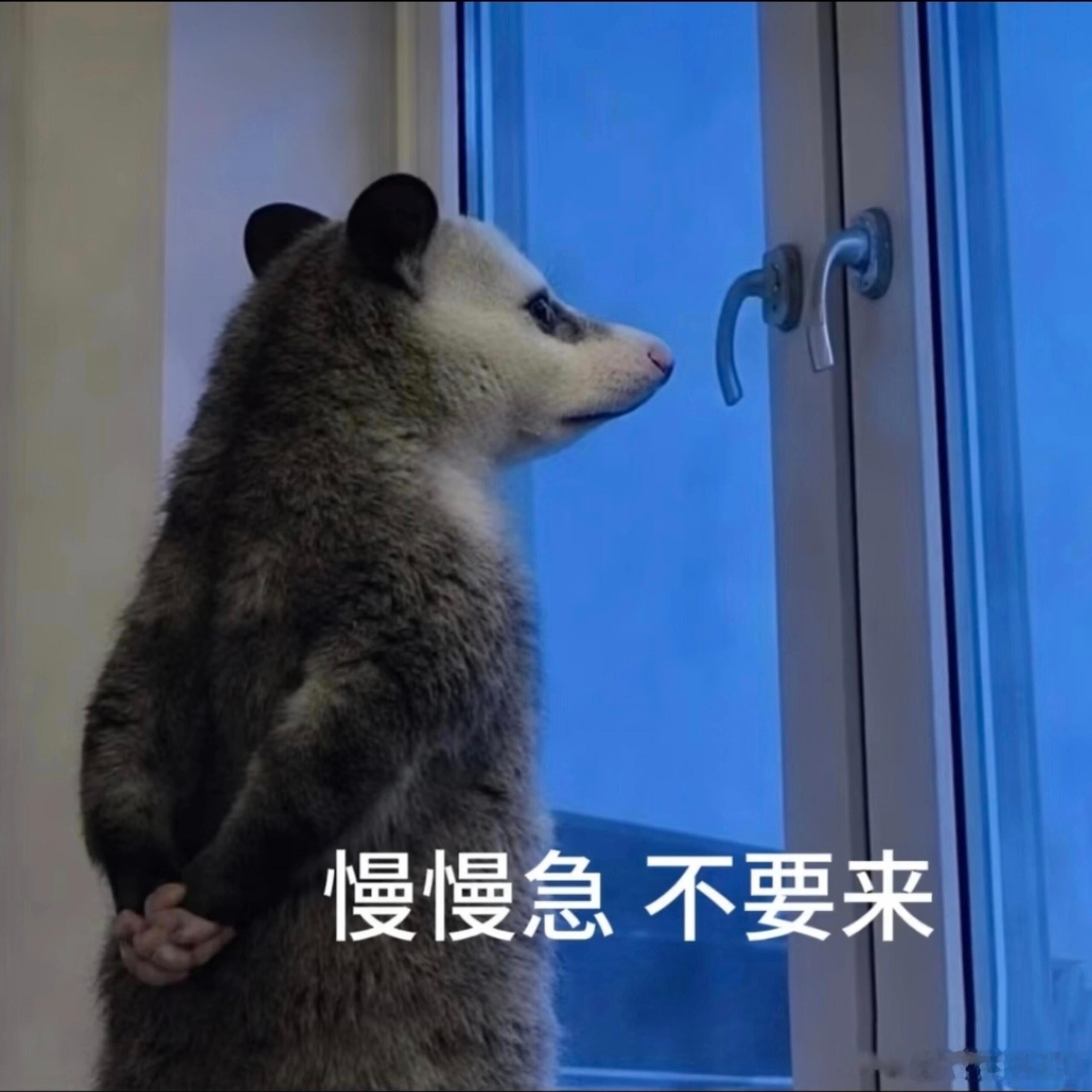 比特币不急，人却急了；比特币没怕，人先怕了。跌一点，就喊熊回；跌一点，就找利空。