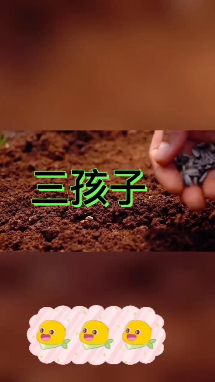三孩子。大家好，最近有个重磅消息不知道大家关注了没？三孩生育政策正式落地。中共