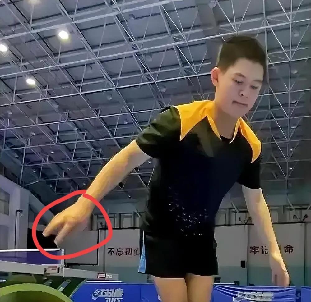 大家不要过分追捧林诗栋他拼命打球不是为了当网红也不是想压过谁的风头，