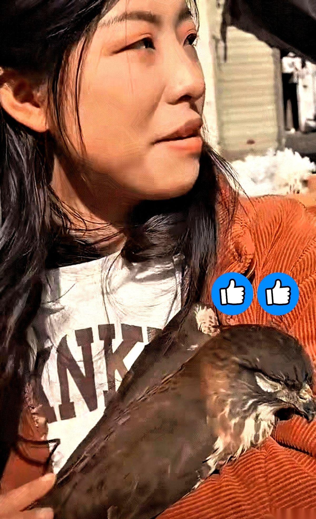 四川一个大姐出门晒太阳，一个黑影“噗”一下砸进她怀里。低头一看，不是砖头，是个