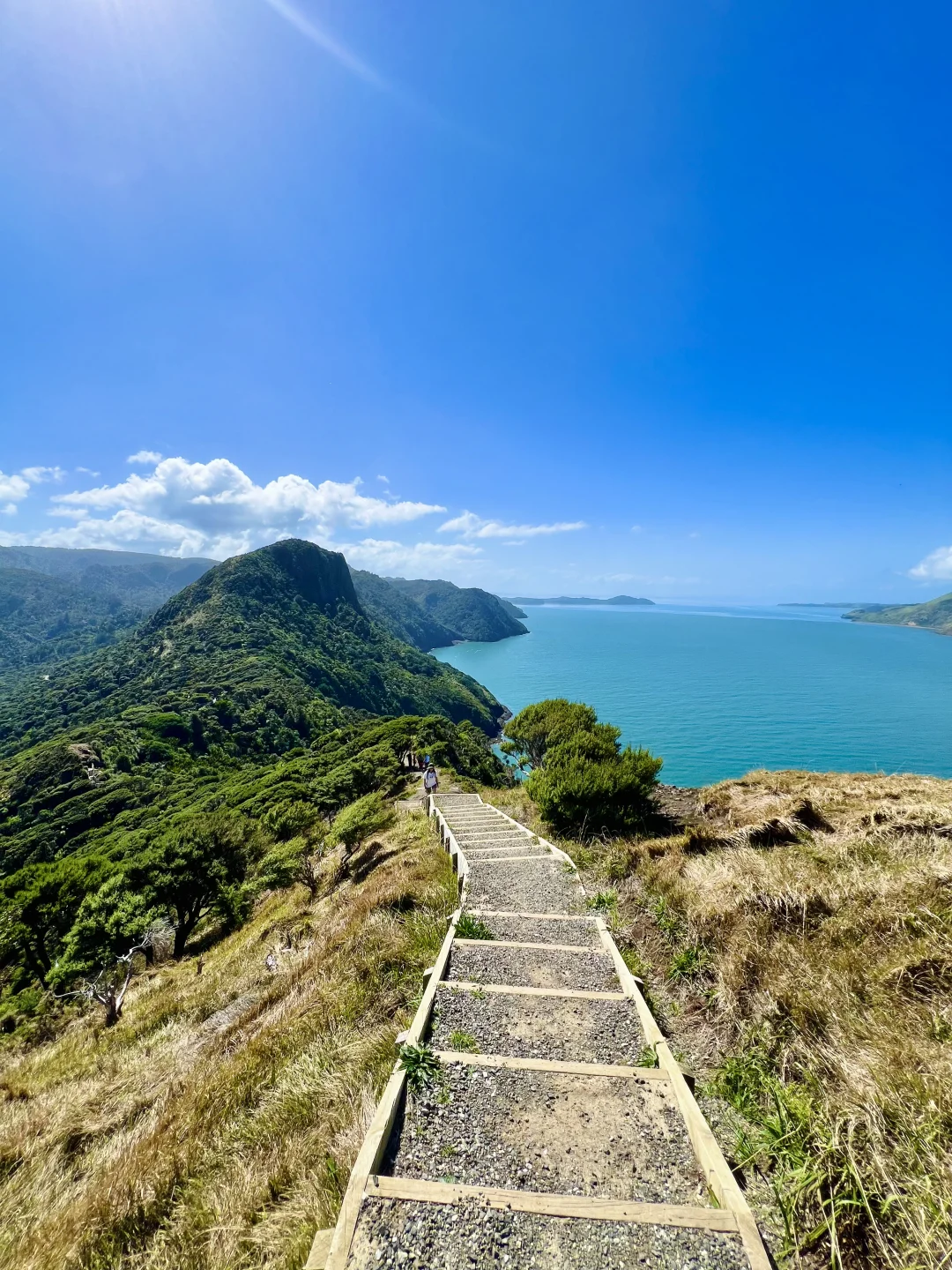 辞职出国一年，我的甲状腺结节没了