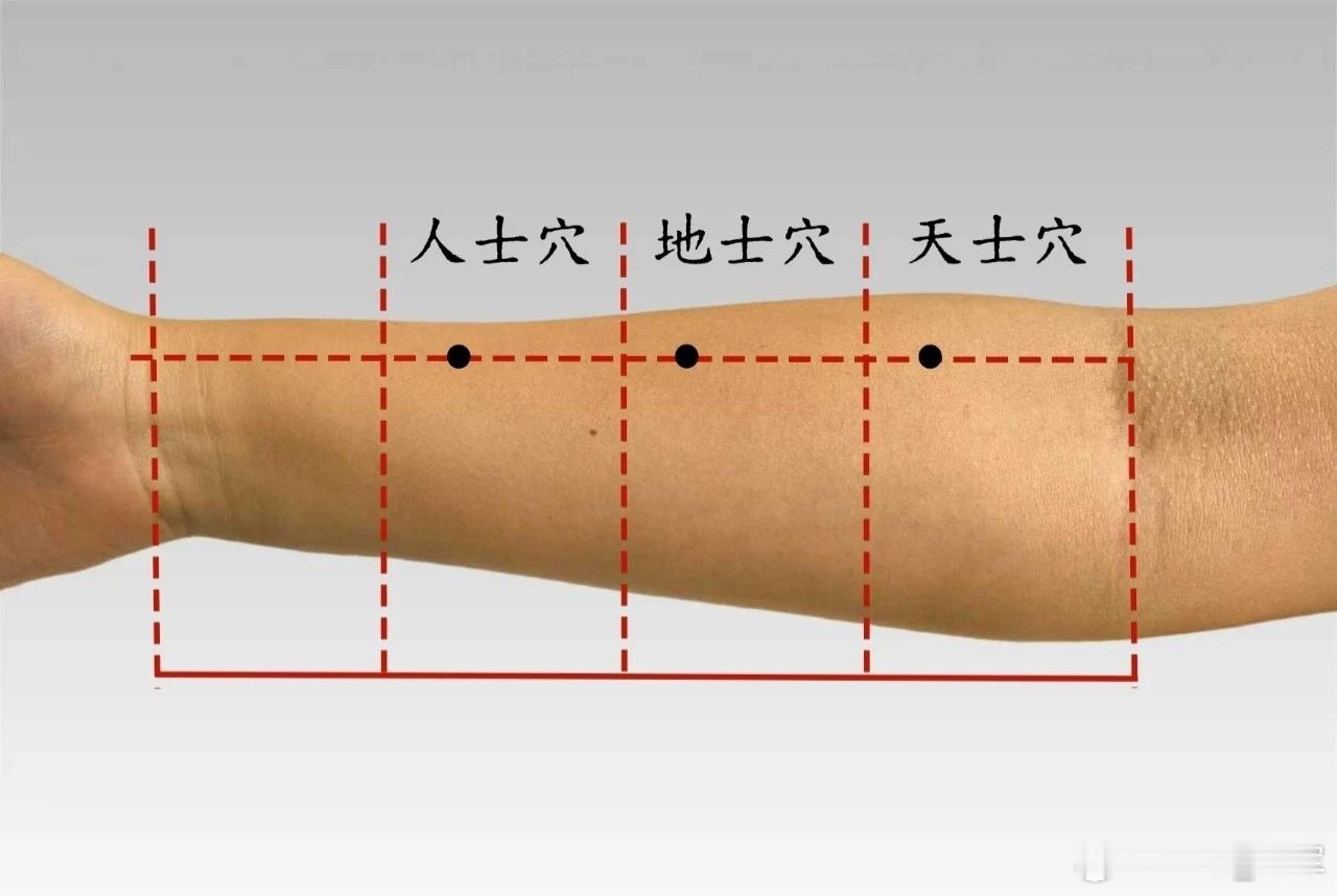 气喘、心脏病、手掌手指痛，人士穴人士穴源自董氏奇穴位置：在前臂桡骨里侧，距腕横
