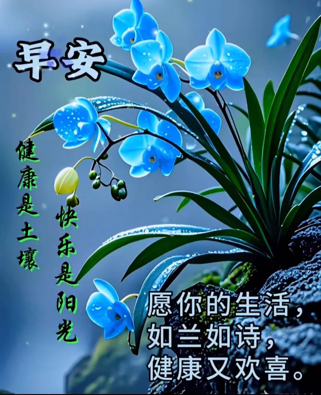 感恩人生中的相遇，感謝歲月裏的友情，一聲問候真的牽掛，祝你安康真心祝福。