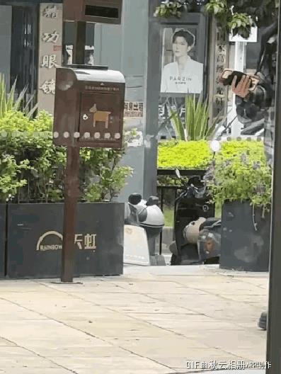 医生：你的脚是怎么崴到的？她：从鞋上摔下来的。医生：好好说话！
