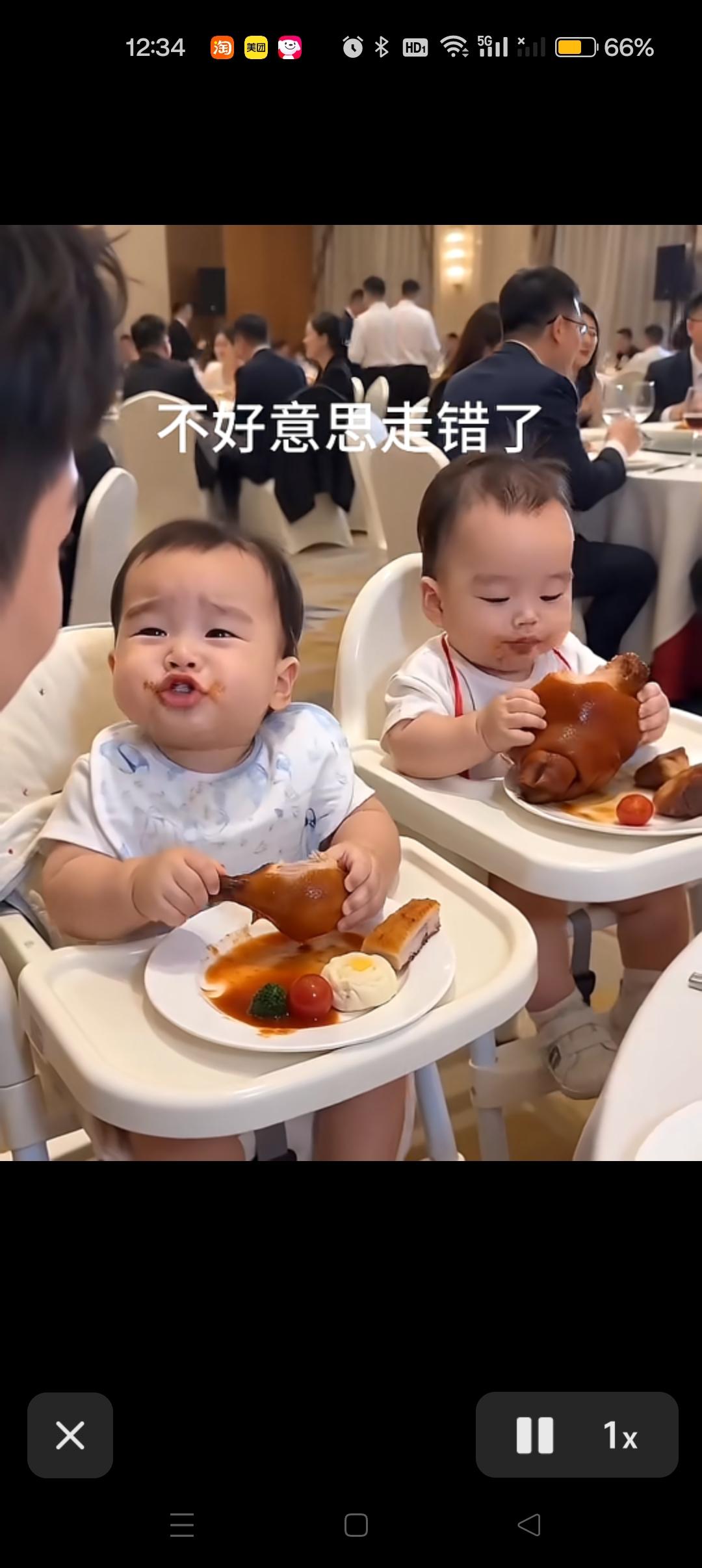 两个小汪宝搂席，大口吃肉，太爽了。😍汪宝宝你真逗儿[呲牙笑][呲牙笑][赞]
