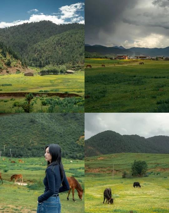 这个0️⃣游客的秘境才是真正的-消失的地平线在香格里拉深山的村子里，我找到了“