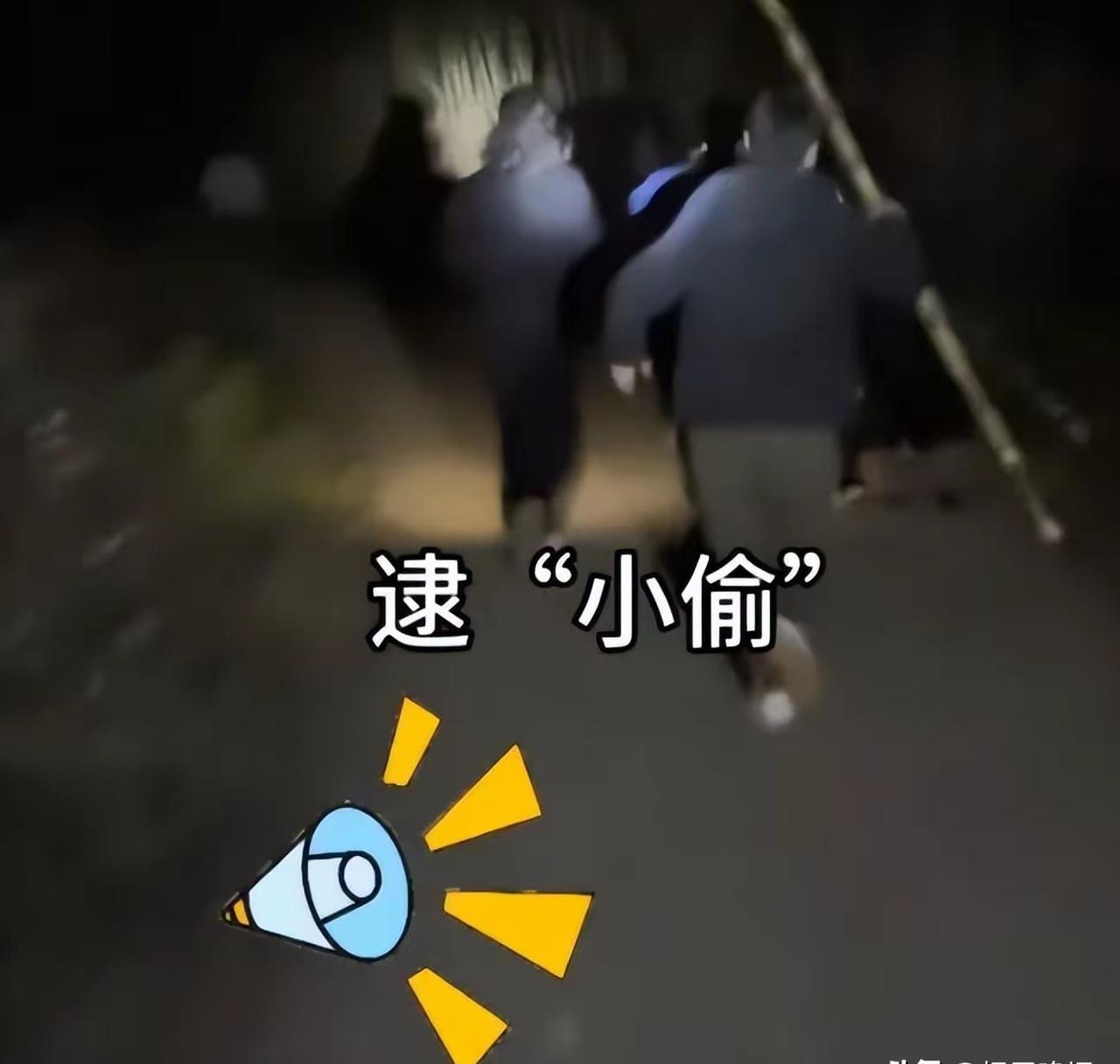 四川“9.9元偷甘蔗”火了！每天上千个“小偷”涌入，村里60岁大爷、2条狗都来充