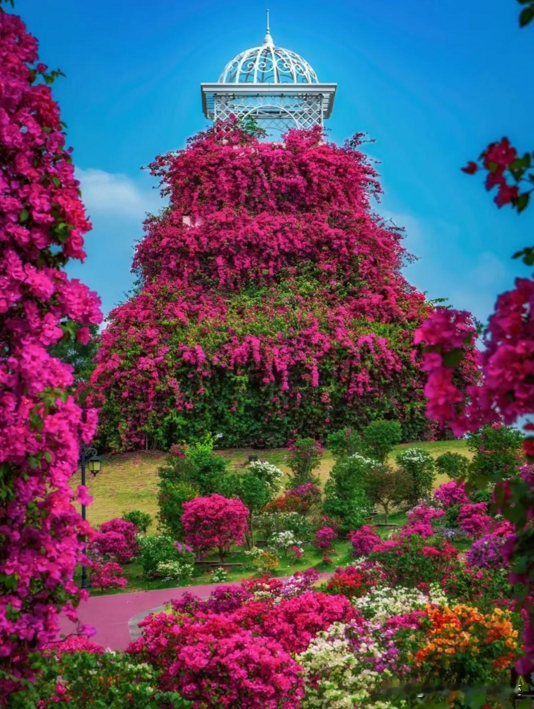 南宁青秀山·欢乐“三月三”｜花艺展已美成仙境，六大活动陪你过个花样假期:青秀山花