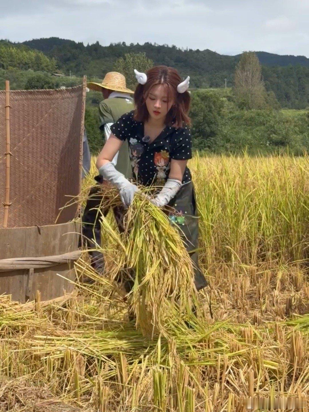 太喜欢杨超越了，这姑娘干活是真实在，别人干活装样子，她是真利索啊。如果别