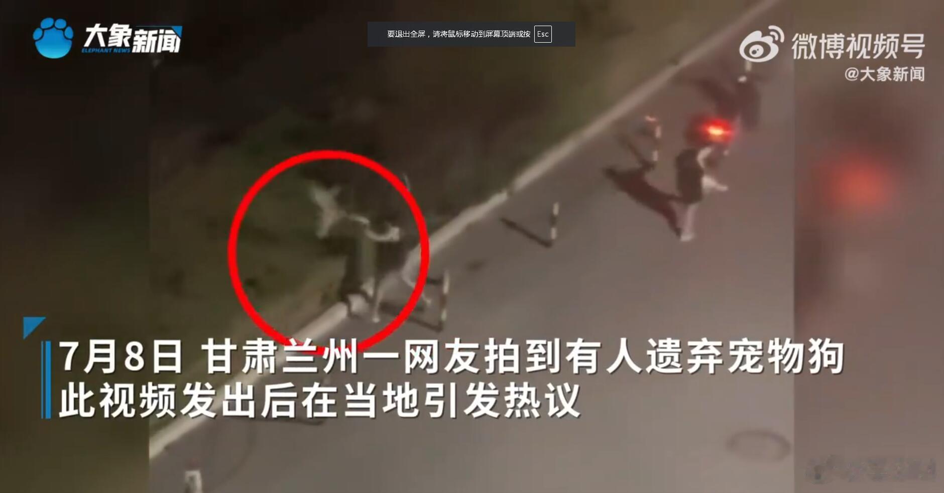 作为养犬人，我真是很不能理解这种行为。怎么就能狠下心来丢弃狗子呢？它虽然不是人，