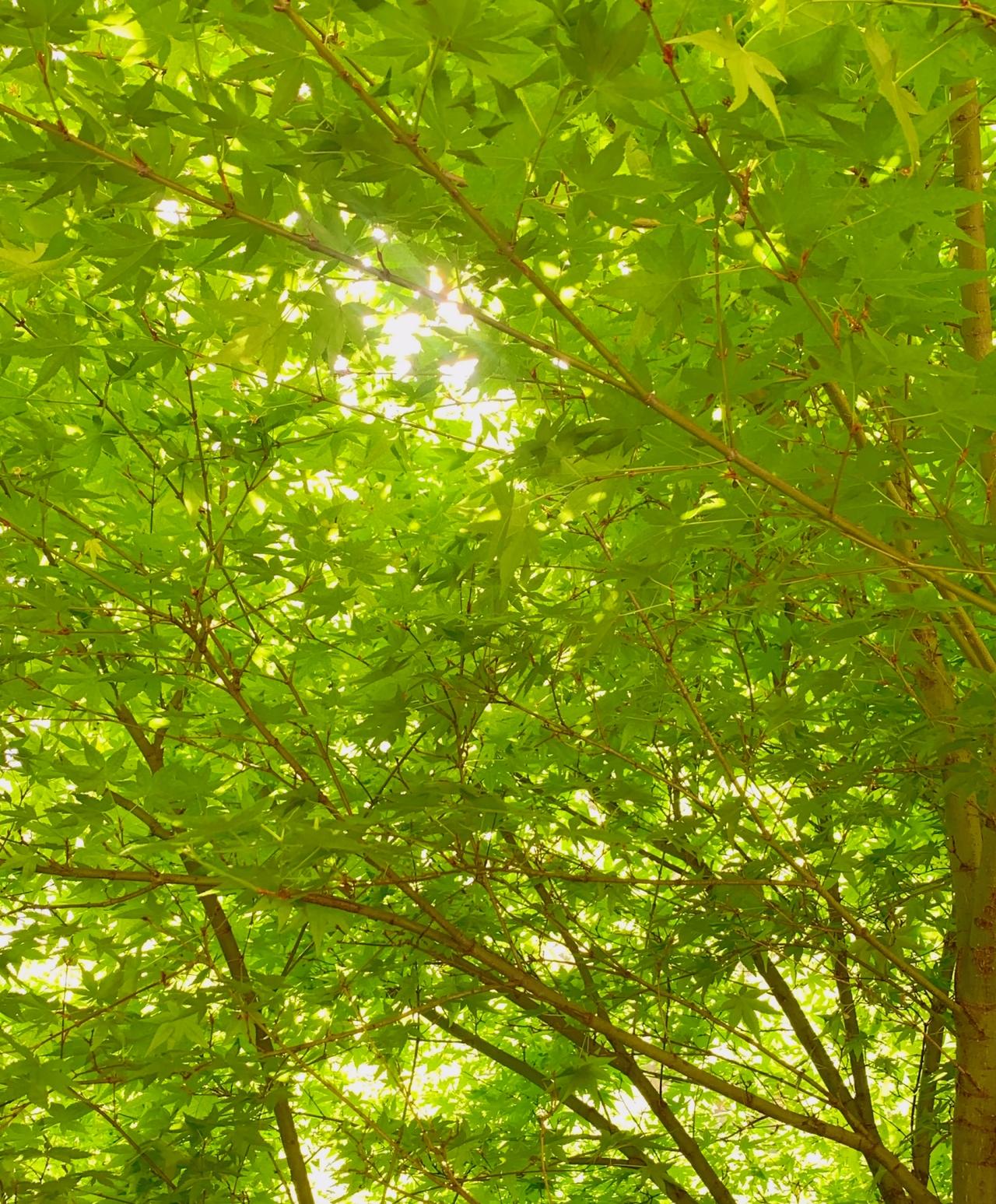 非常现实的话：“真正厉害的男人，不为情绪上头，不为颜值妥协，不为欲望而委曲求全