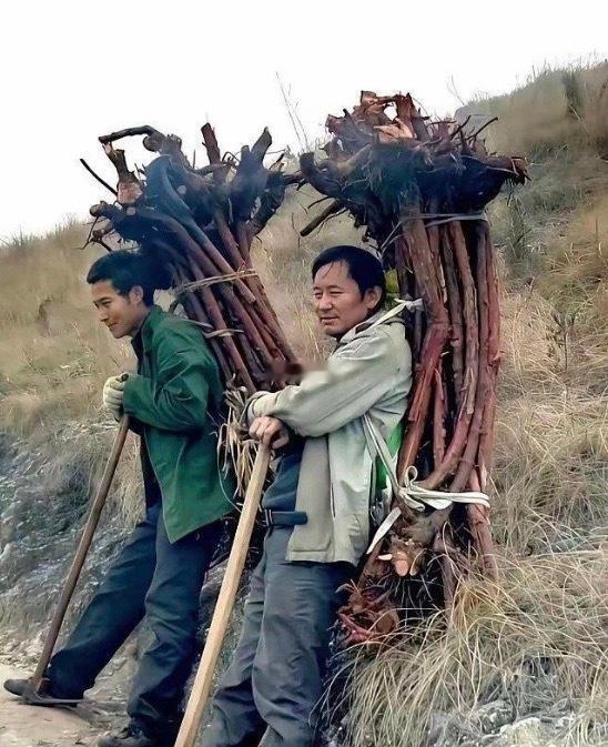这算不算破坏大自然