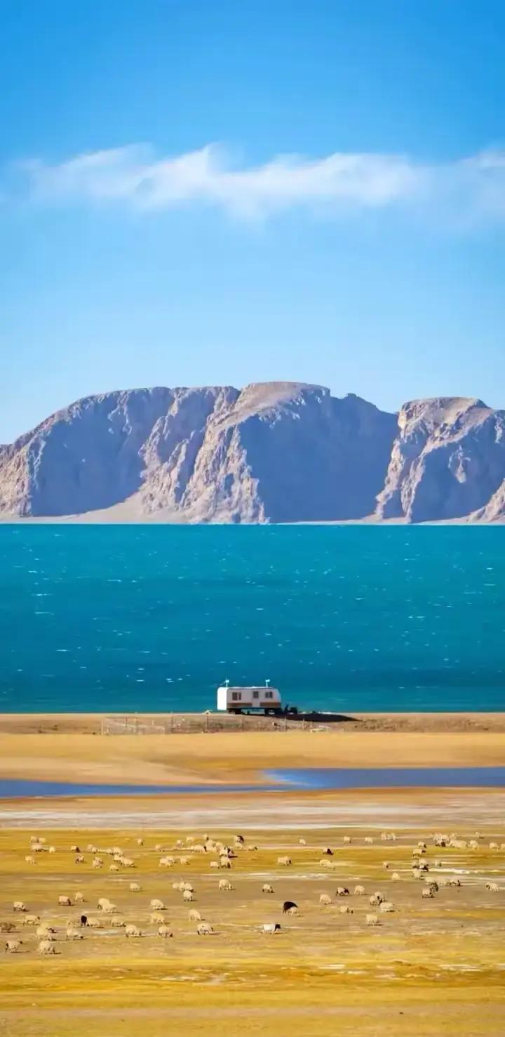 做精油spa推油时一碰就抖？技师偷偷说破真相很多人第一次去做精油推背，都有过